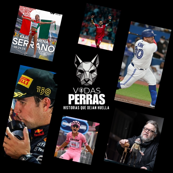 Inicio Vidas perras Estudio 922